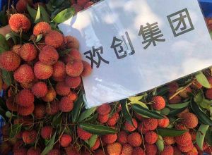 夏日好“枝”味，热博官方网站_热博(中国)股份有限公司集团发福“荔”啦