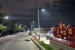 热博官方网站_热博(中国)股份有限公司集团罗宁弟爱心捐赠路灯，点亮乡村路温暖乡民心